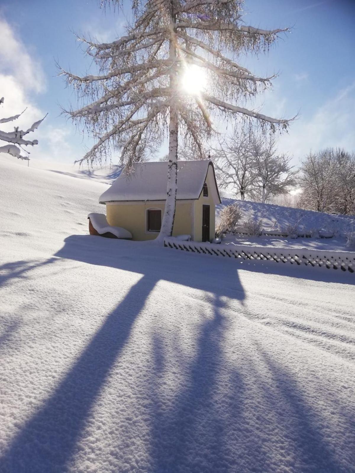 Alpenchalets Oberlaiming Itter Exterior photo